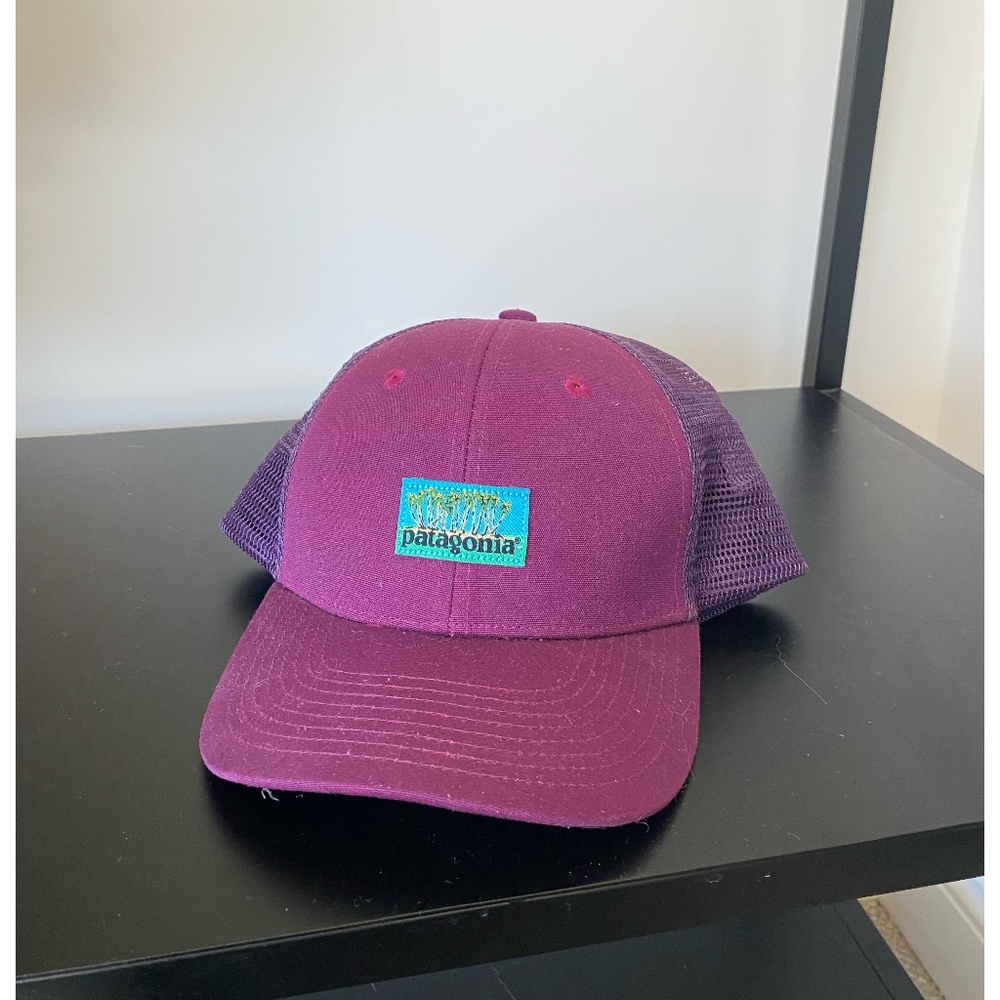 Patagonia Trucker Hat